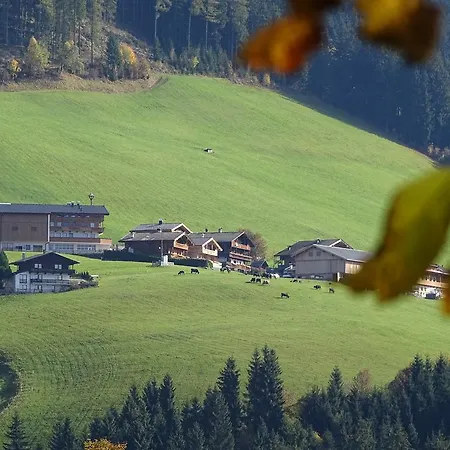 Anna's Alpbach