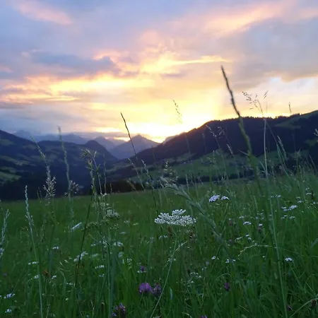 Lejlighed Anna's Alpbach