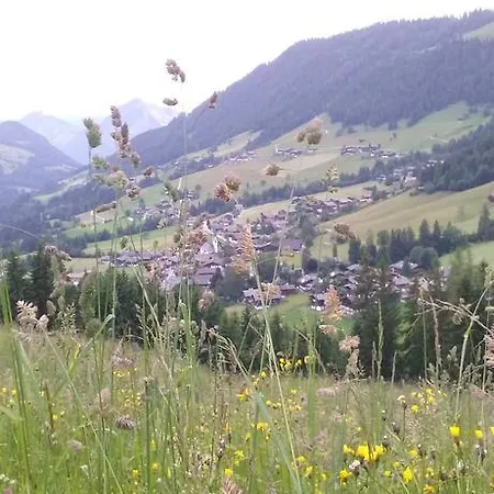 Annas Apartment Alpbach