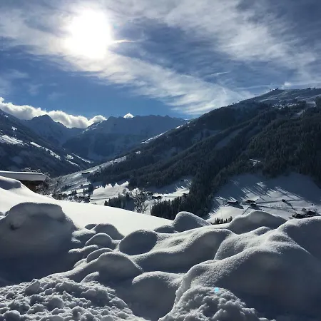 Anna's *