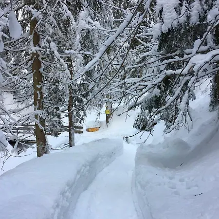 Anna's Alpbach