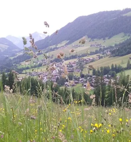 Anna's Appartamento Alpbach